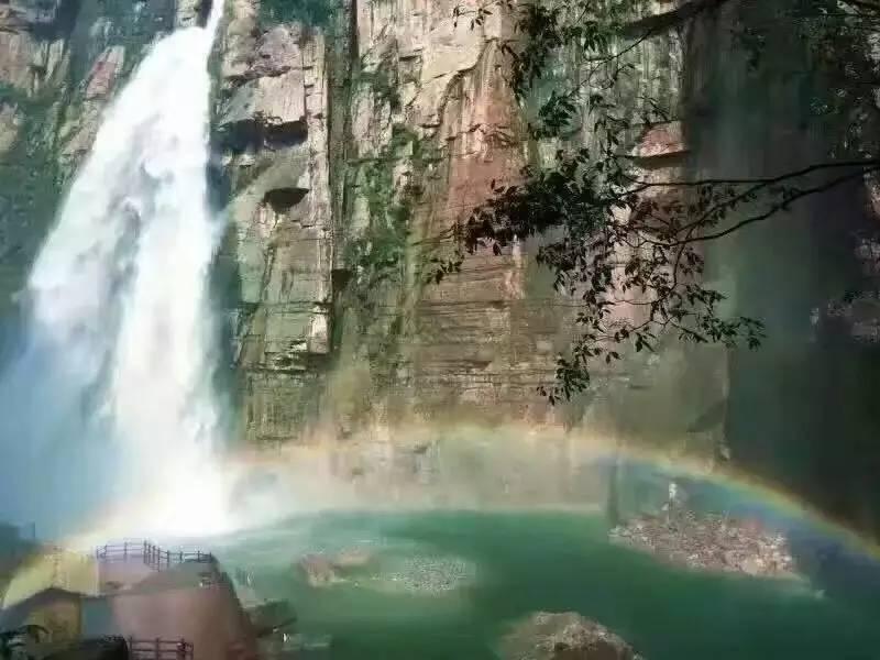 探索小丸子怎么做?200个知识火花,照亮你的思路