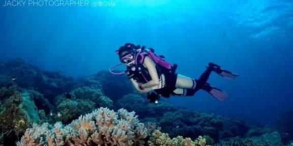想知道小步在家早教靠谱吗？谁能给说说游戏画面